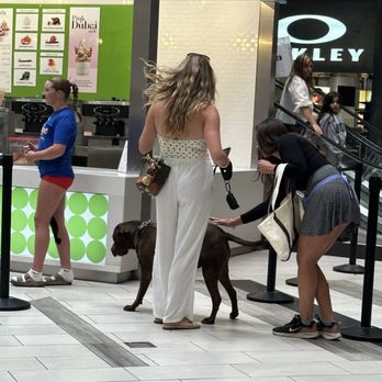 Pinkberry - Ice Cream & Frozen Yogurt Near Me - Austin, Texas Pinkberry - Ice Cream & Frozen Yogurt Near Me - Austin, Texas
