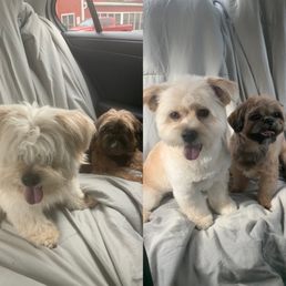 Before & After!