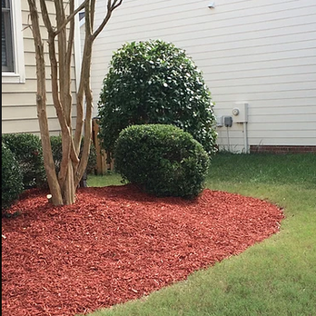 Ameriscapes - a red mulch bed in front of a house - Landscaping Near Me - Wake Forest, North Carolina Ameriscapes - a red mulch bed in front of a house - Landscaping Near Me - Wake Forest, North Carolina
