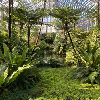 Garfield Park Conservatory - Parks Near Me - Chicago, Illinois