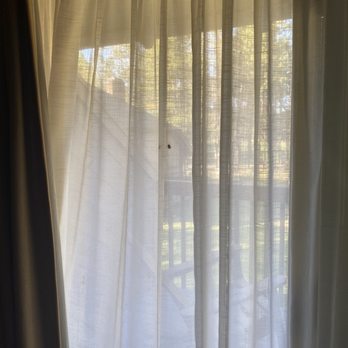 Sunriver Resort - See center dot..that's no dot it's a very old and decaying bug someone smashed in the curtain - again no time to clean during Covid? - Resorts Near Me - Sunriver, Oregon Sunriver Resort - See center dot..that's no dot it's a very old and decaying bug someone smashed in the curtain - again no time to clean during Covid? - Resorts Near Me - Sunriver, Oregon