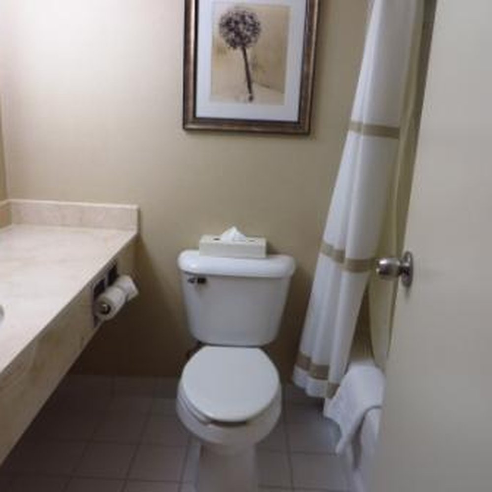 Ottawa Marriott Hotel - Hotels Near Me - Ottawa, Ontario Ottawa Marriott Hotel - Hotels Near Me - Ottawa, Ontario