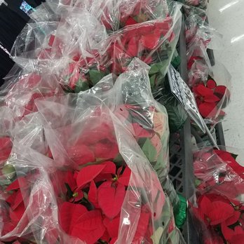 Walmart Supercenter - Preeettttyyyyyy - Grocery Near Me - Winnfield, Louisiana Walmart Supercenter - Preeettttyyyyyy - Grocery Near Me - Winnfield, Louisiana