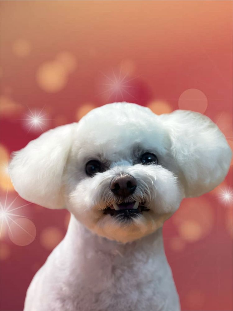 GROOM BEND Updated September 2024 46 Photos & 14 Reviews 624 NW