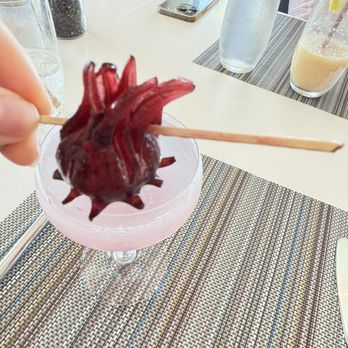 Paul's Landing - The Pink Hotel - your can eat this hibiscus gelatinous flower- tastes a little like a gummi. - Seafood Near Me - Saint Petersburg, Florida Paul's Landing - The Pink Hotel - your can eat this hibiscus gelatinous flower- tastes a little like a gummi. - Seafood Near Me - Saint Petersburg, Florida