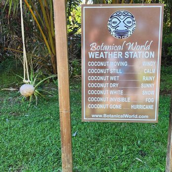 Botanical World Adventures - How to tell the weather here - Botanical Gardens Near Me - Hakalau, Hawaii Botanical World Adventures - How to tell the weather here - Botanical Gardens Near Me - Hakalau, Hawaii