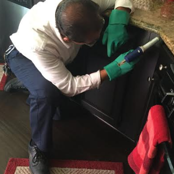 Powerline Pest Control - Pest Control Near Me