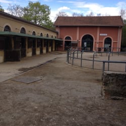 Bayard Ucpa Centre Equestre
