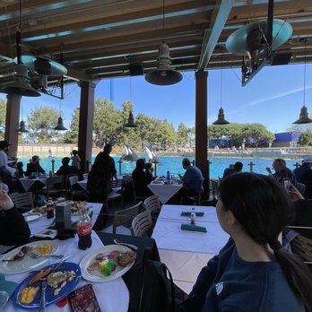 Dine With Orcas - Lunch with a view - Buffets Near Me - San Diego, California Dine With Orcas - Lunch with a view - Buffets Near Me - San Diego, California