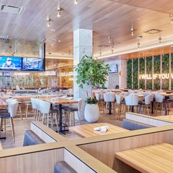 Moxies - Inside