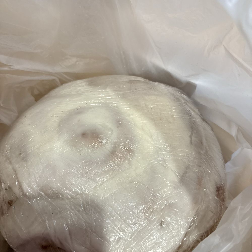 Huge Sweet Roll to take home!