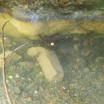Black Star Canyon Trail - Newts - Hiking Near Me - Orange, California Black Star Canyon Trail - Newts - Hiking Near Me - Orange, California