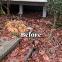 Photo of NW Landscaping Services