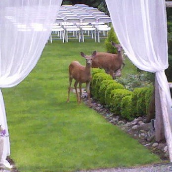 Jardin del Sol - Venues & Event Spaces Near Me - Snohomish, Washington Jardin del Sol - Venues & Event Spaces Near Me - Snohomish, Washington