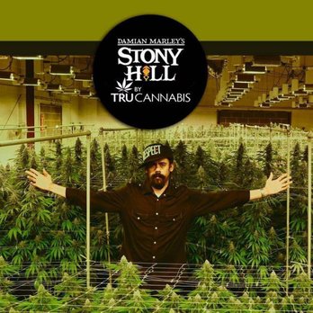 Higher Grade - Cannabis Dispensaries Near Me - Denver, Colorado