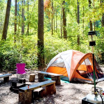 Camp Noyo - Campgrounds Near Me