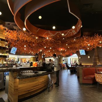 Sushisamba - Great scenery. - Asian Fusion Near Me - Las Vegas, Nevada