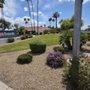 Photo of P&P Landscaping