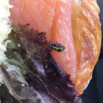 Basic Food & Beverage - Delis Near Me - Jersey City, New Jersey