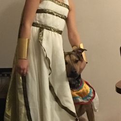 Animal Alliance NJ - My C puppy is such a great sport!!! I love my shepherd mix