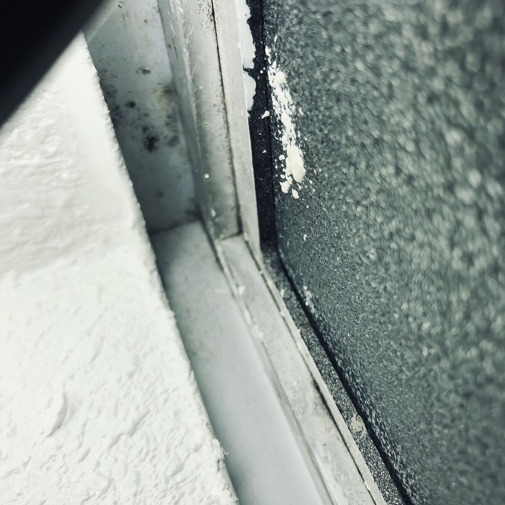 BluSky - Mold growth 2 weeks after remediation was completed. Stucco left on glass window - Damage Restoration Near Me - Signal Hill, California