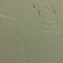 Old Pueblo Pediatrics - Blood on wall that stuck around for two appointments.