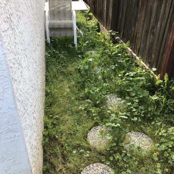 RP Jr. Landscaping - Weeds - Landscaping Near Me RP Jr. Landscaping - Weeds - Landscaping Near Me