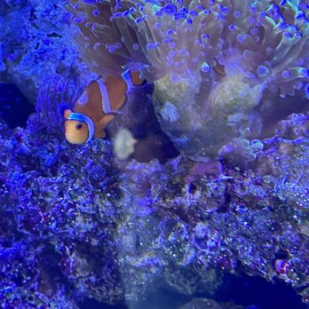 NCG CINEMA - LANSING - Updated March 2026 - 45 Photos & 92 Reviews ...