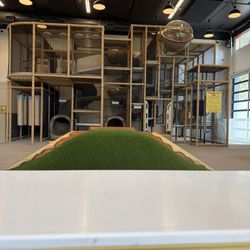Greatroom - The only structure available for play and looks nothing like their website.