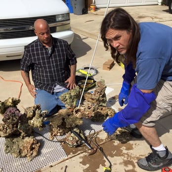 Aquarium Design - Aquarium Design and L.A. Fish Guys in Thousand Oaks, CA. Dedicated to the job and getting it done! - Aquarium Services Near Me - Thousand Oaks, California