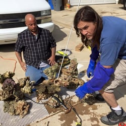 Aquarium Design - Aquarium Design and L.A. Fish Guys in Thousand Oaks, CA. Dedicated to the job and getting it done!