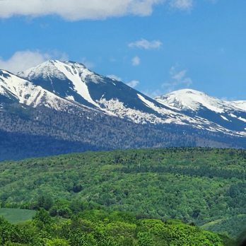 Panda Travel - Snow capped mountains - Tours Near Me - Honolulu, Hawaii Panda Travel - Snow capped mountains - Tours Near Me - Honolulu, Hawaii