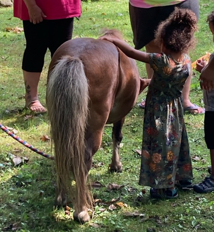 Little Things - Big Difference - equestrian in Dexter, MI