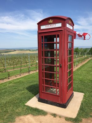 Luckett Vineyards by null