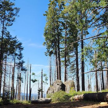 Jackson Road Trail - Jackson Road/Tenaya Loop Trail, Madera County: 2026 May 20 - Hiking Near Me - Fish Camp, California Jackson Road Trail - Jackson Road/Tenaya Loop Trail, Madera County: 2026 May 20 - Hiking Near Me - Fish Camp, California