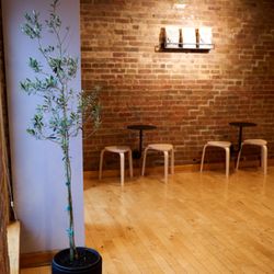 The Therapy Collaborative