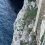 Photo of Viewpoint