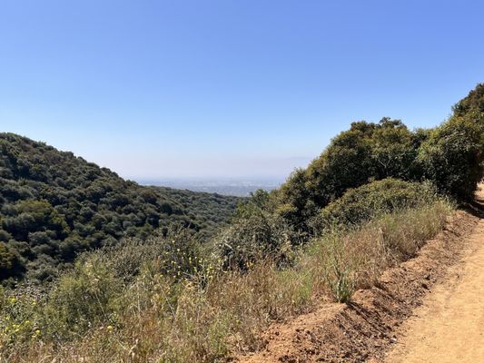 Claremont Hills Wilderness Park by null