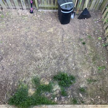 Redline Outdoor Services - The before...clearly I'm not meant to have a backyard with grass - Tree Services Near Me Redline Outdoor Services - The before...clearly I'm not meant to have a backyard with grass - Tree Services Near Me