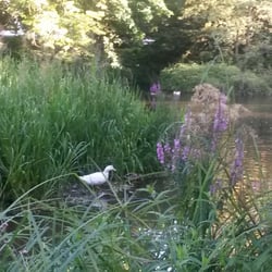Parc Charles Bertin