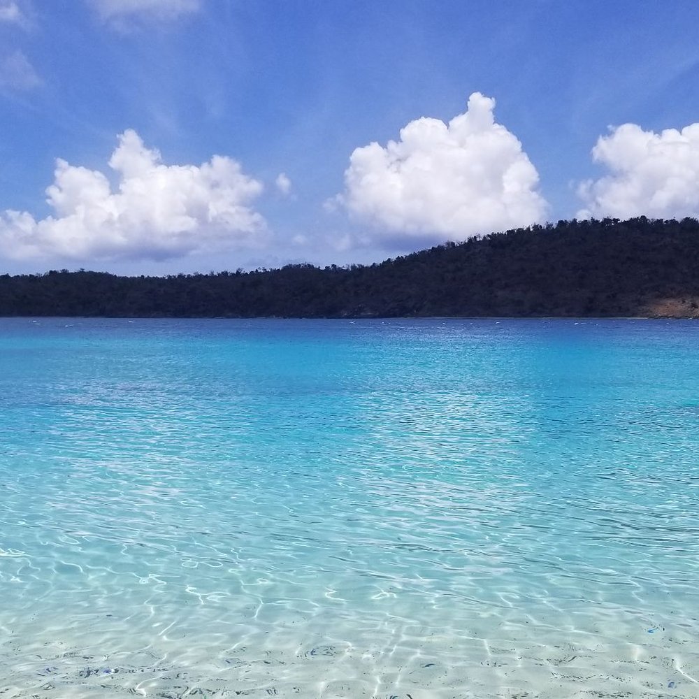 Coki Beach - Beaches Near Me - St Thomas, Virgin Islands Coki Beach - Beaches Near Me - St Thomas, Virgin Islands