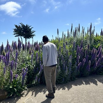 Golden Gate Park - Parks Near Me - San Francisco, California