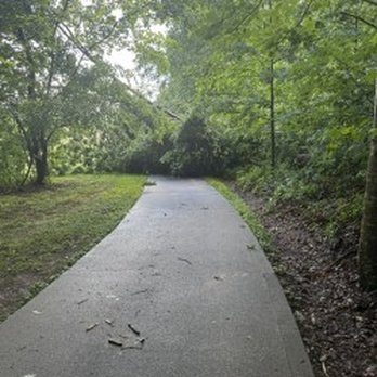 Tree Techs - Tree Services Near Me Tree Techs - Tree Services Near Me