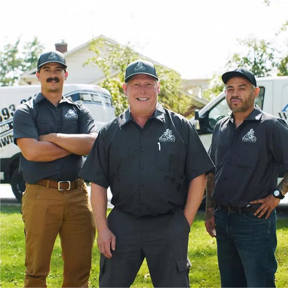 Slide of Whitney Services