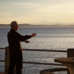 Tai Chi With Stuart Robson