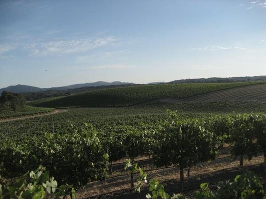 Stolpman Vineyards - Los Olivos Tasting Room by null