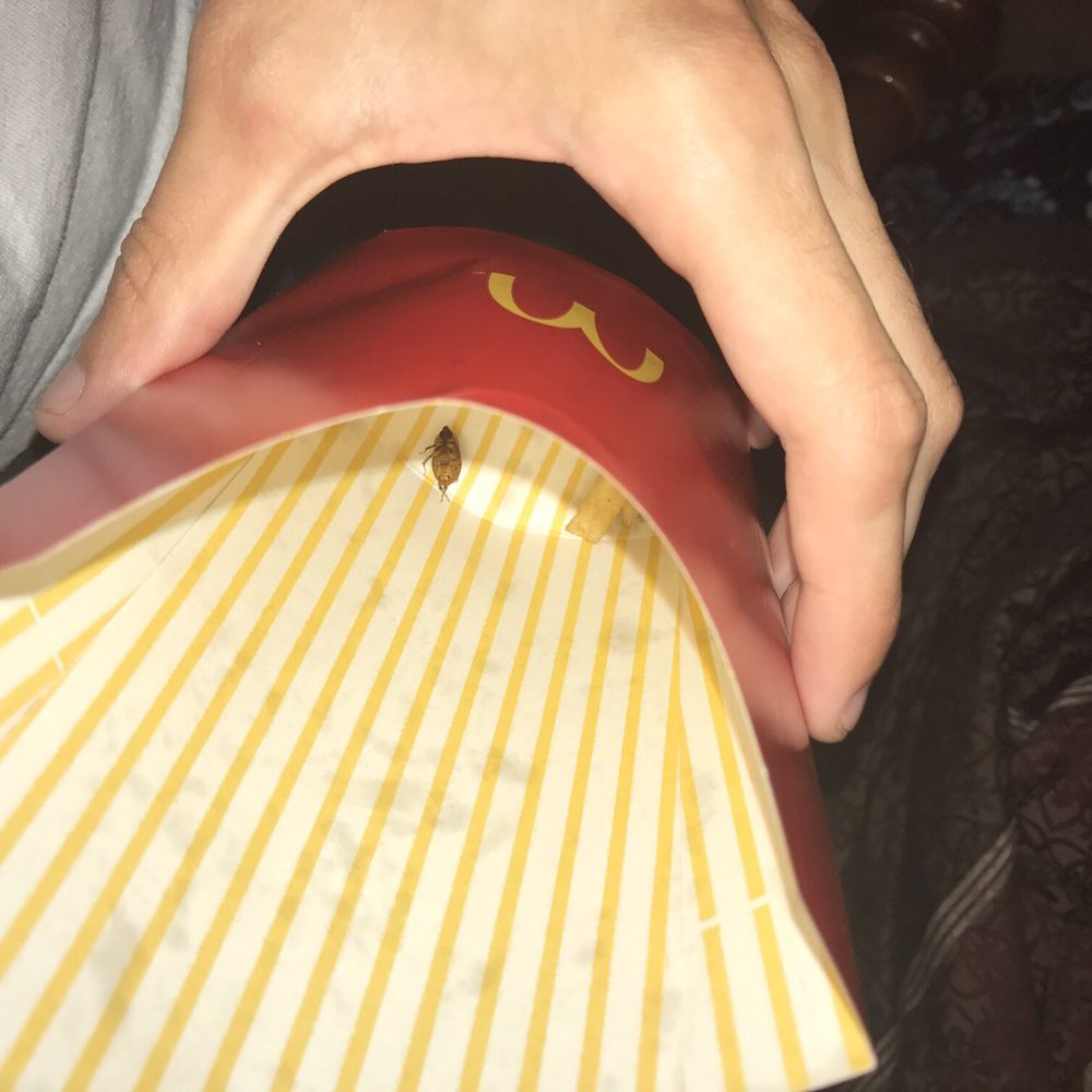 McDonald's - Found this at the bottom of my fries. Will never be eating at McDonald's again. This location is disgusting - Fast Food Near Me - Reading, Ohio