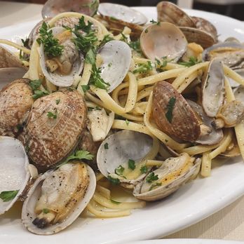 Perbacco - Linguini Frutti Di Mare - Italian Near Me - Houston, Texas