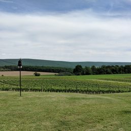 Galen Glen Vineyard Galen Glen Vineyard