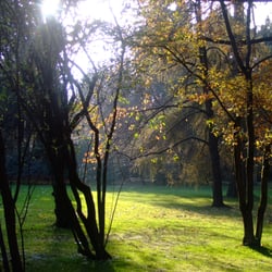 Hofgarten